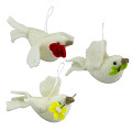 855208-105-0